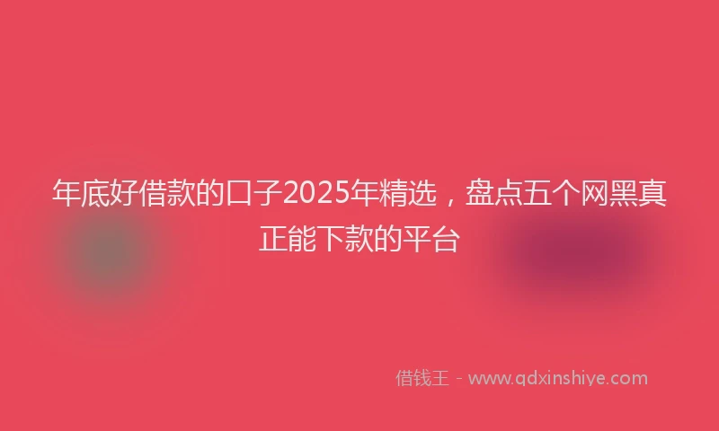 年底好借款的口子2025年精选，盘点五个网黑真正能下款的平台