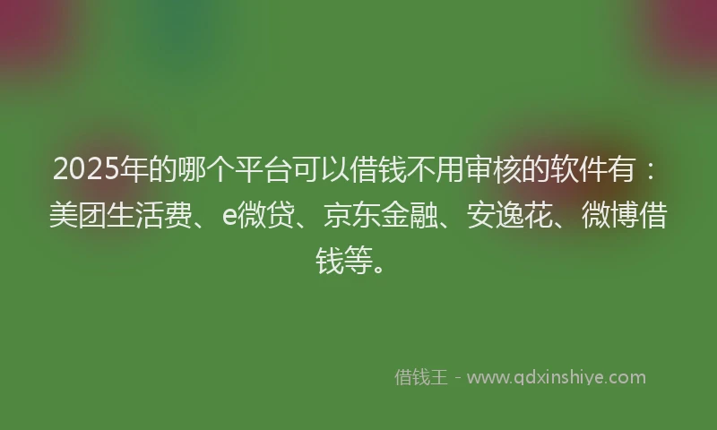 2025年的哪个平台可以借钱不用审核的软件有：美团生活费、e微贷、京东金融、安逸花、微博借钱等。