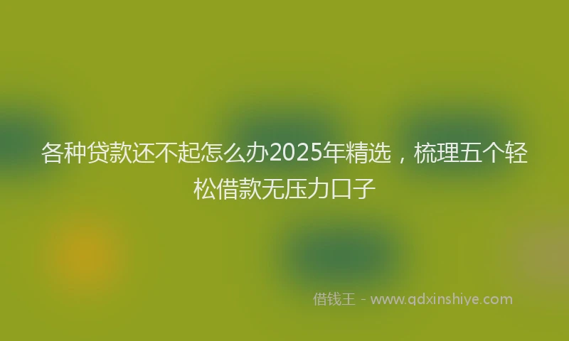 各种贷款还不起怎么办2025年精选，梳理五个轻松借款无压力口子