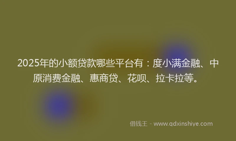 2025年的小额贷款哪些平台有：度小满金融、中原消费金融、惠商贷、花呗、拉卡拉等。