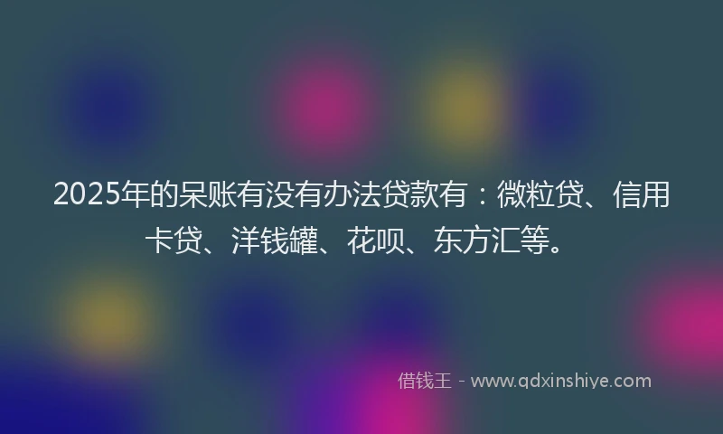 2025年的呆账有没有办法贷款有：微粒贷、信用卡贷、洋钱罐、花呗、东方汇等。