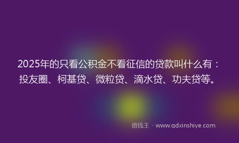 2025年的只看公积金不看征信的贷款叫什么有：投友圈、柯基贷、微粒贷、滴水贷、功夫贷等。