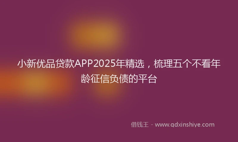 小新优品贷款APP2025年精选，梳理五个不看年龄征信负债的平台