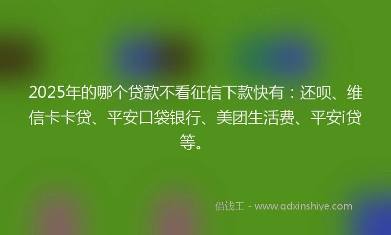 2025年的哪个贷款不看征信下款快有：还呗、维信卡卡贷、平安口袋银行、美团生活费、平安i贷等。