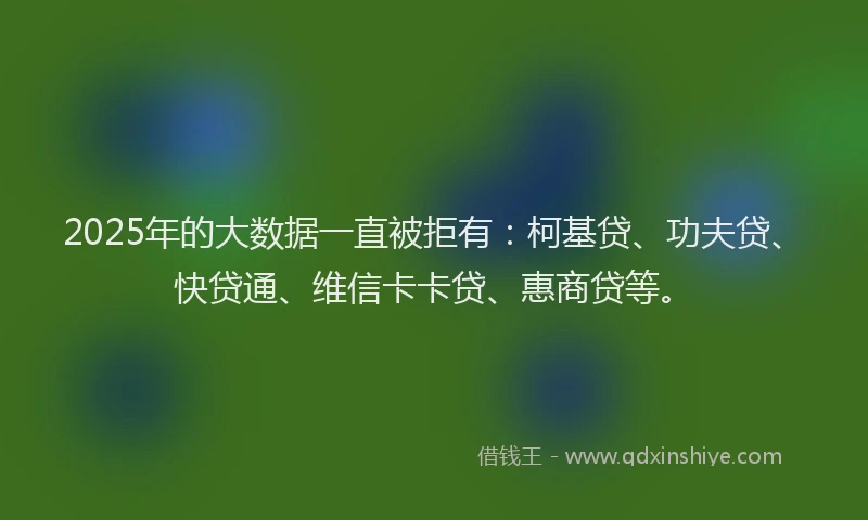 2025年的大数据一直被拒有：柯基贷、功夫贷、快贷通、维信卡卡贷、惠商贷等。