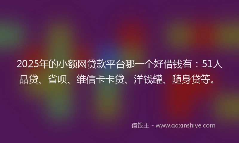 2025年的小额网贷款平台哪一个好借钱有：51人品贷、省呗、维信卡卡贷、洋钱罐、随身贷等。