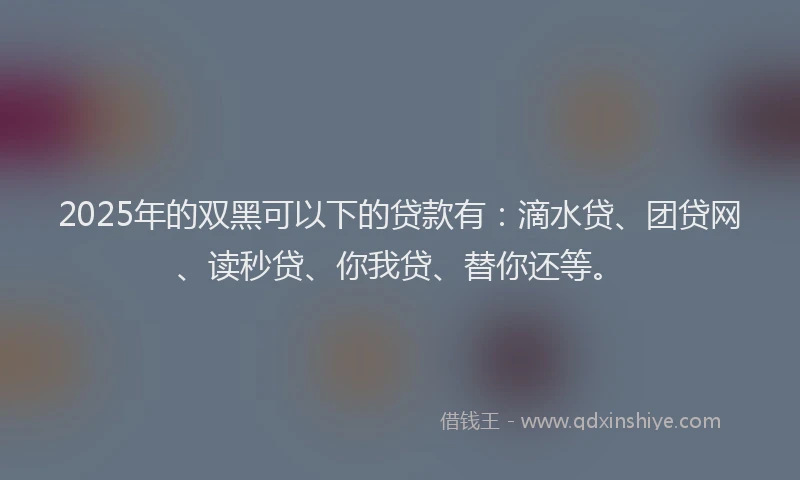 2025年的双黑可以下的贷款有：滴水贷、团贷网、读秒贷、你我贷、替你还等。