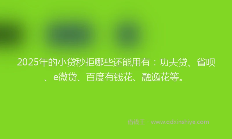 2025年的小贷秒拒哪些还能用有：功夫贷、省呗、e微贷、百度有钱花、融逸花等。