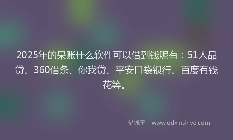 2025年的呆账什么软件可以借到钱呢有：51人品贷、360借条、你我贷、平安口袋银行、百度有钱花等。