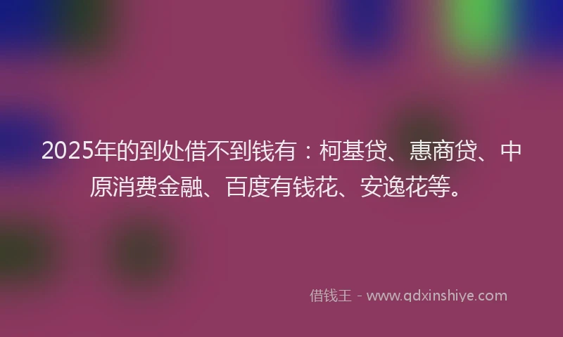 2025年的到处借不到钱有：柯基贷、惠商贷、中原消费金融、百度有钱花、安逸花等。