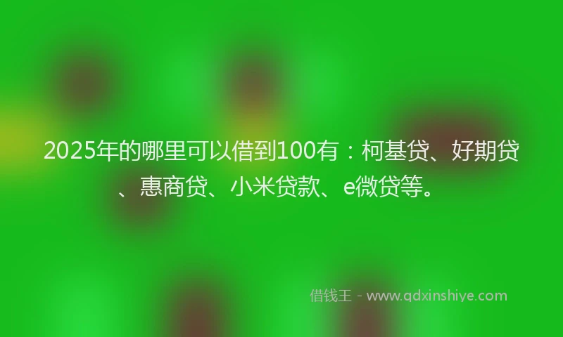 2025年的哪里可以借到100有：柯基贷、好期贷、惠商贷、小米贷款、e微贷等。