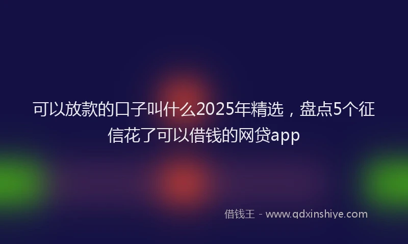 可以放款的口子叫什么2025年精选，盘点5个征信花了可以借钱的网贷app