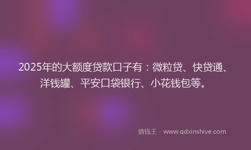2025年的大额度贷款口子有：微粒贷、快贷通、洋钱罐、平安口袋银行、小花钱包等。