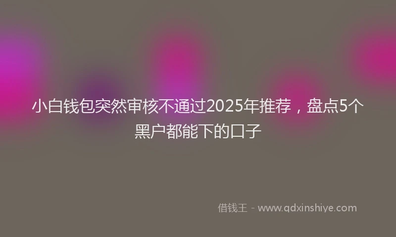 小白钱包突然审核不通过2025年推荐，盘点5个黑户都能下的口子