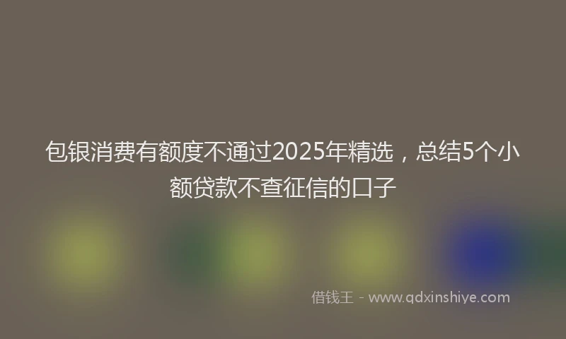 包银消费有额度不通过2025年精选，总结5个小额贷款不查征信的口子