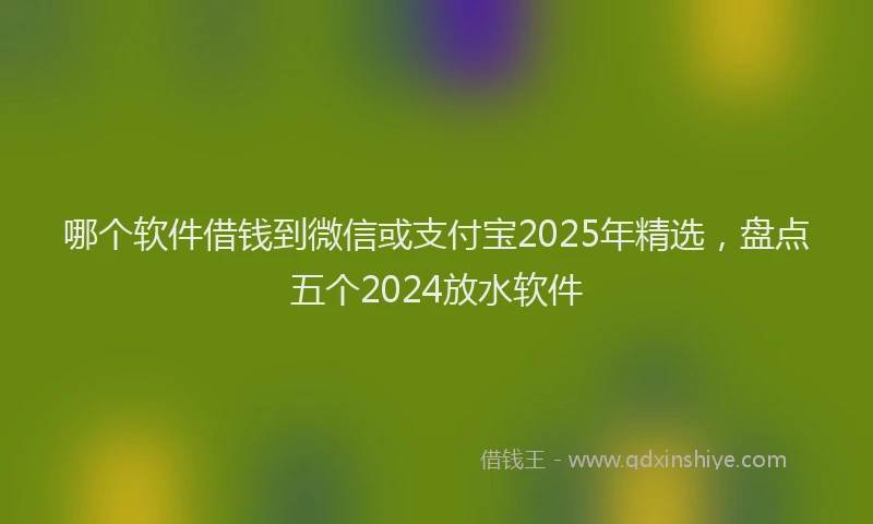 哪个软件借钱到微信或支付宝2025年精选，盘点五个2024放水软件