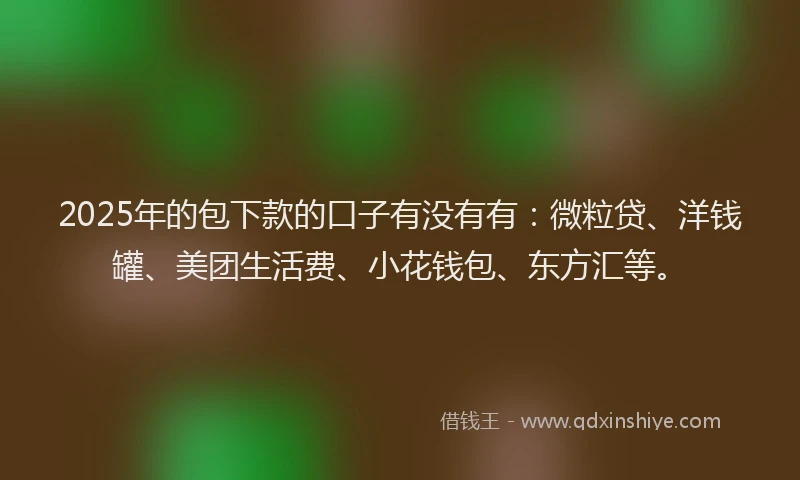 2025年的包下款的口子有没有有：微粒贷、洋钱罐、美团生活费、小花钱包、东方汇等。