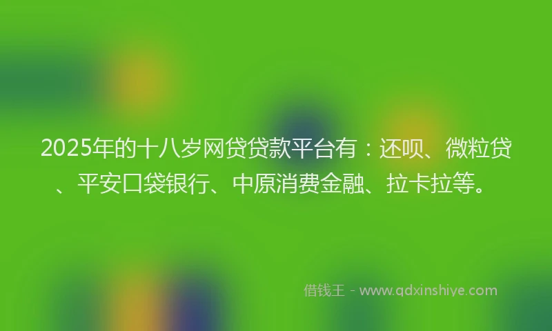 2025年的十八岁网贷贷款平台有：还呗、微粒贷、平安口袋银行、中原消费金融、拉卡拉等。