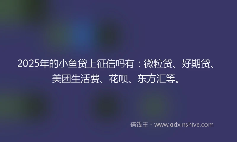 2025年的小鱼贷上征信吗有：微粒贷、好期贷、美团生活费、花呗、东方汇等。