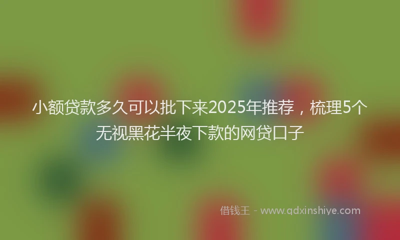 小额贷款多久可以批下来2025年推荐，梳理5个无视黑花半夜下款的网贷口子