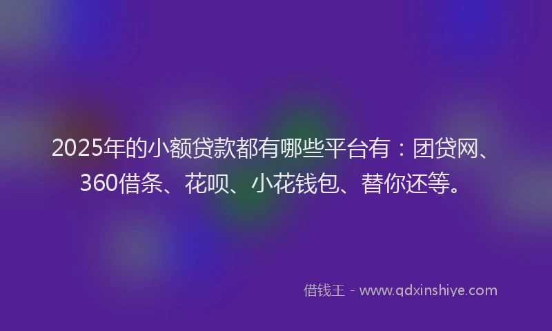 2025年的小额贷款都有哪些平台有：团贷网、360借条、花呗、小花钱包、替你还等。