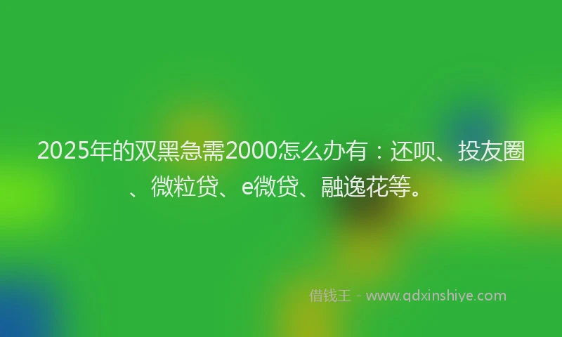 2025年的双黑急需2000怎么办有：还呗、投友圈、微粒贷、e微贷、融逸花等。