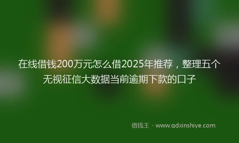 在线借钱200万元怎么借2025年推荐，整理五个无视征信大数据当前逾期下款的口子