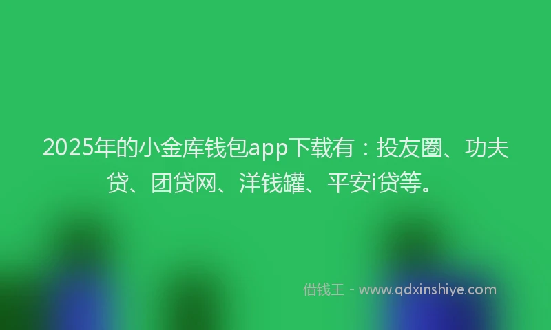 2025年的小金库钱包app下载有：投友圈、功夫贷、团贷网、洋钱罐、平安i贷等。