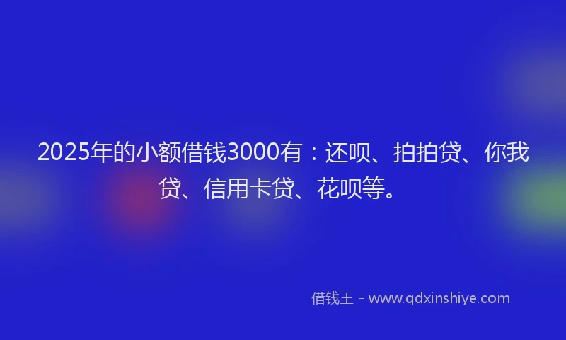 2025年的小额借钱3000有：还呗、拍拍贷、你我贷、信用卡贷、花呗等。