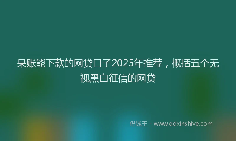 呆账能下款的网贷口子2025年推荐，概括五个无视黑白征信的网贷