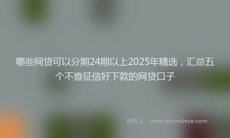 哪些网贷可以分期24期以上2025年精选，汇总五个不查征信好下款的网贷口子