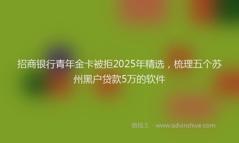 招商银行青年金卡被拒2025年精选，梳理五个苏州黑户贷款5万的软件