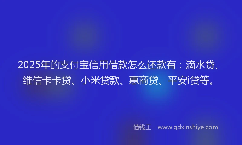 2025年的支付宝信用借款怎么还款有：滴水贷、维信卡卡贷、小米贷款、惠商贷、平安i贷等。