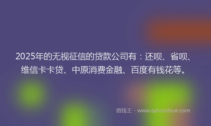 2025年的无视征信的贷款公司有：还呗、省呗、维信卡卡贷、中原消费金融、百度有钱花等。