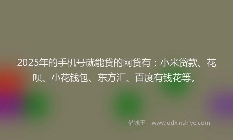 2025年的手机号就能贷的网贷有：小米贷款、花呗、小花钱包、东方汇、百度有钱花等。