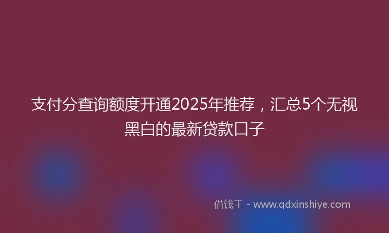支付分查询额度开通2025年推荐，汇总5个无视黑白的最新贷款口子