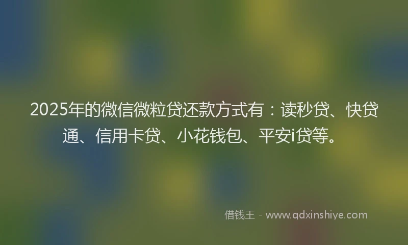 2025年的微信微粒贷还款方式有：读秒贷、快贷通、信用卡贷、小花钱包、平安i贷等。