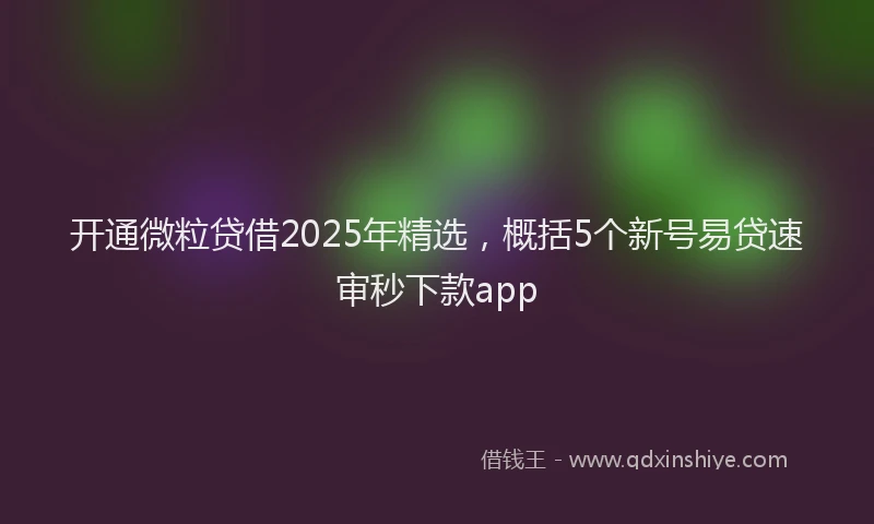 开通微粒贷借2025年精选，概括5个新号易贷速审秒下款app