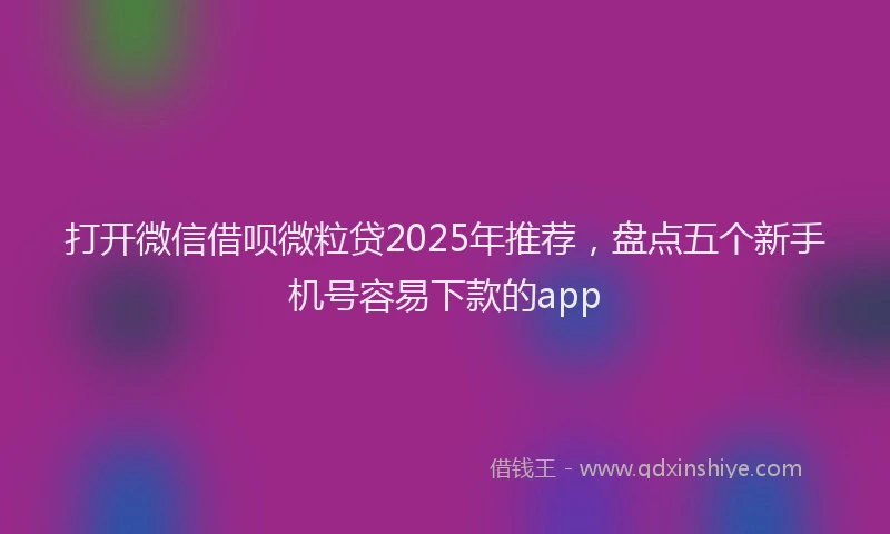 打开微信借呗微粒贷2025年推荐，盘点五个新手机号容易下款的app