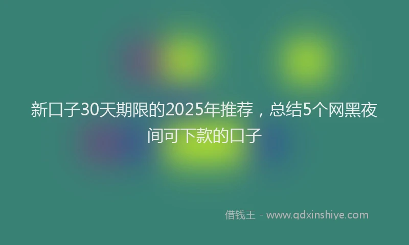 新口子30天期限的2025年推荐，总结5个网黑夜间可下款的口子