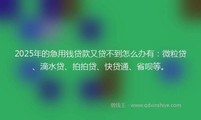 2025年的急用钱贷款又贷不到怎么办有：微粒贷、滴水贷、拍拍贷、快贷通、省呗等。