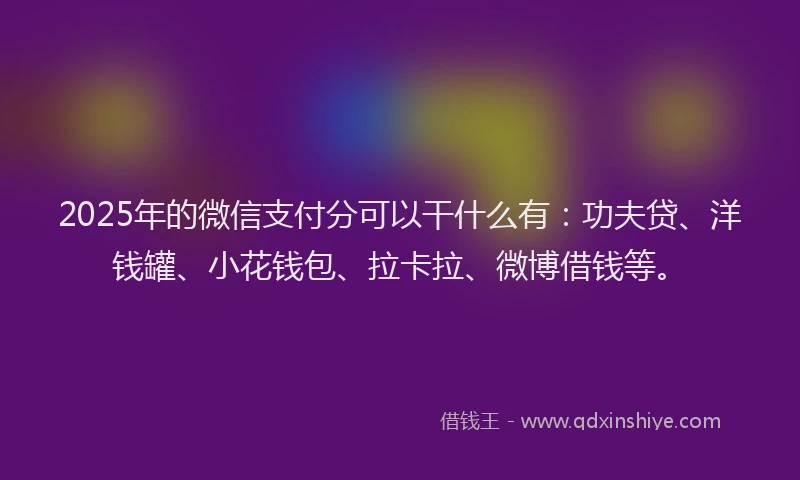 2025年的微信支付分可以干什么有：功夫贷、洋钱罐、小花钱包、拉卡拉、微博借钱等。