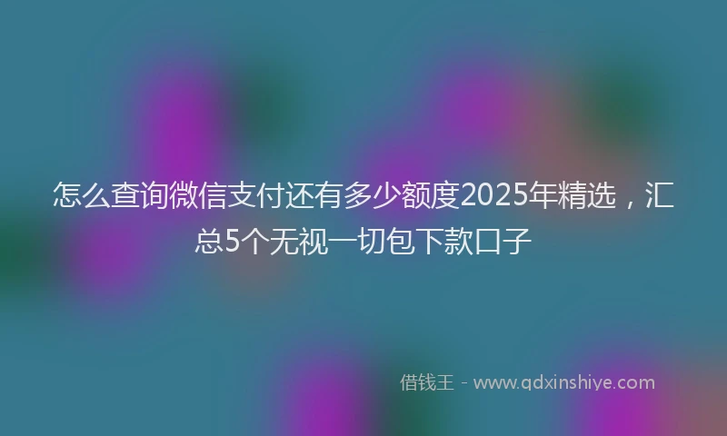 怎么查询微信支付还有多少额度2025年精选，汇总5个无视一切包下款口子