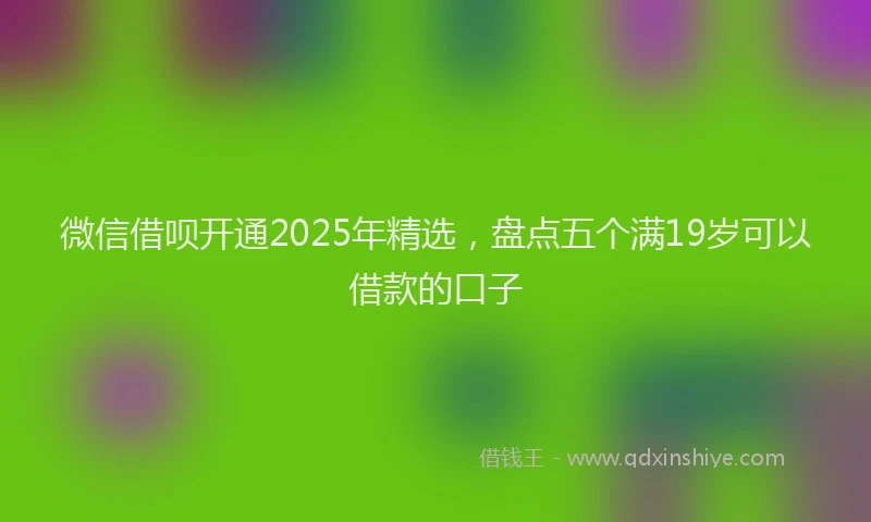 微信借呗开通2025年精选，盘点五个满19岁可以借款的口子