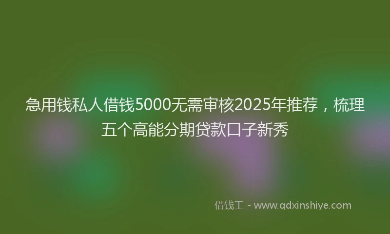 急用钱私人借钱5000无需审核2025年推荐，梳理五个高能分期贷款口子新秀