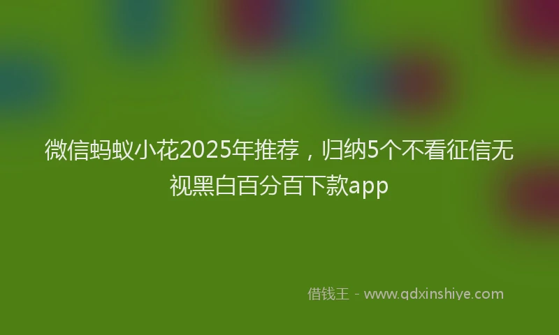 微信蚂蚁小花2025年推荐，归纳5个不看征信无视黑白百分百下款app