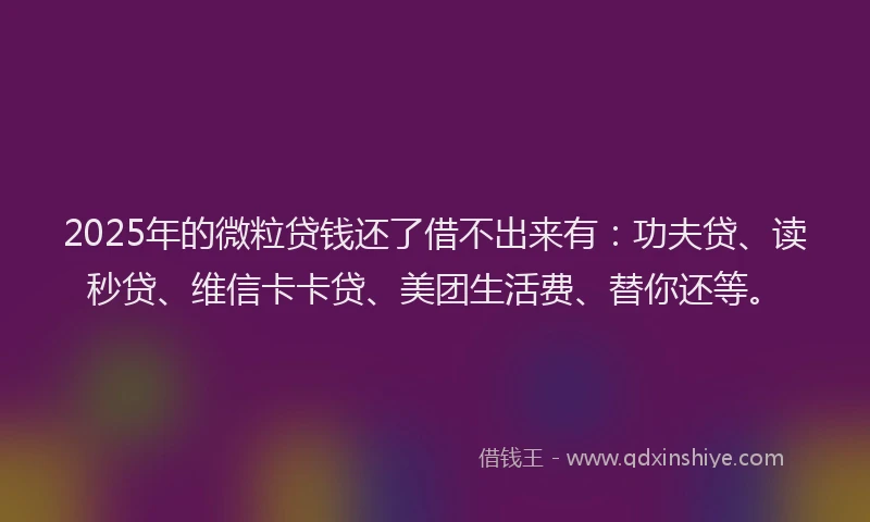2025年的微粒贷钱还了借不出来有：功夫贷、读秒贷、维信卡卡贷、美团生活费、替你还等。