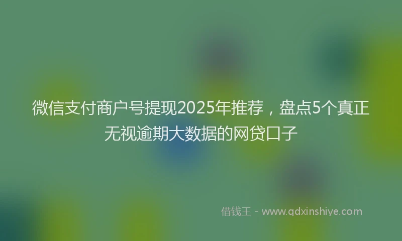 微信支付商户号提现2025年推荐，盘点5个真正无视逾期大数据的网贷口子