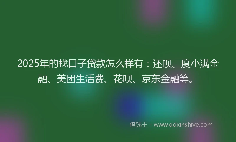 2025年的找口子贷款怎么样有：还呗、度小满金融、美团生活费、花呗、京东金融等。