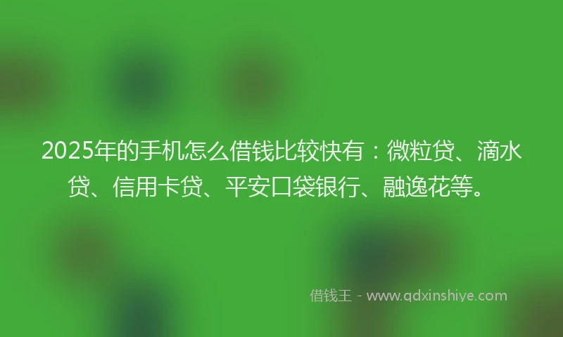 2025年的手机怎么借钱比较快有：微粒贷、滴水贷、信用卡贷、平安口袋银行、融逸花等。